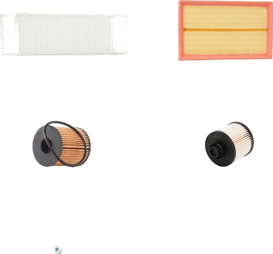 Filtersett RIDEX 4055F31390