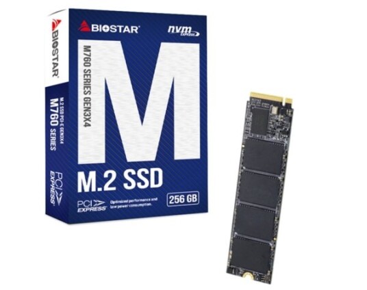 Dysk Ssd Biostar M760 256Gb Dysk Ssd Biostar M760 256Gb