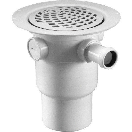 Purus [153475016]