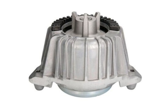 Motorfeste REINHOCH RH11-3024