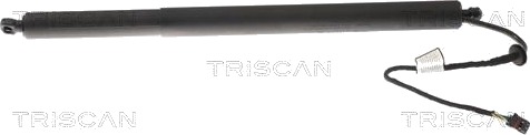TRISCAN 8710 43301 Baklukedemper