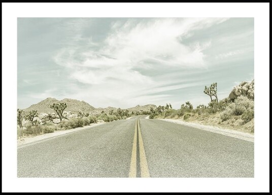 Vintage Joshua Trees Park Boulevard Poster Plakat / 30x40cm