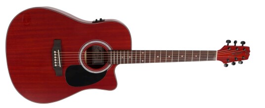 Morgan W 118 TL M CE Thinline - Akustisk gitar Morgan W 118 TL M CE Thinline - Akustisk gitar
