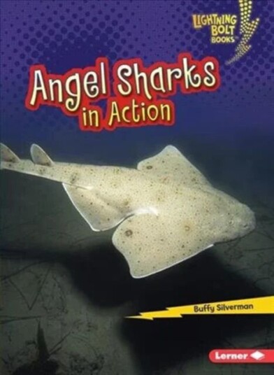 Angel Sharks In Action Av Buffy Silverman Angel Sharks In Action Av Buffy Silverman