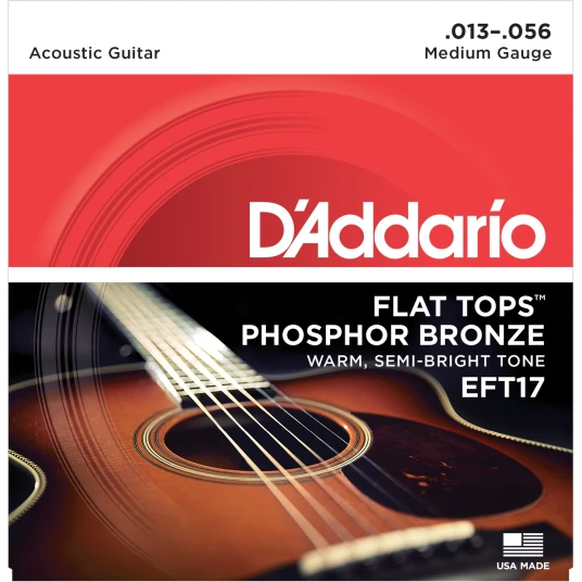 Daddario EFT17