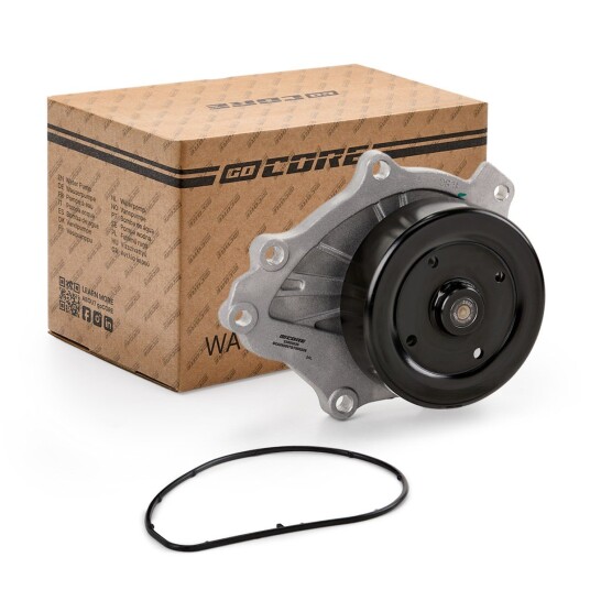 goCORE GCA2600078 Vannpumpe
