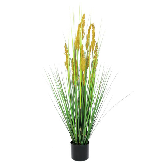 Europalms Parrot Grass, 120cm Europalms Parrot Grass, 120cm