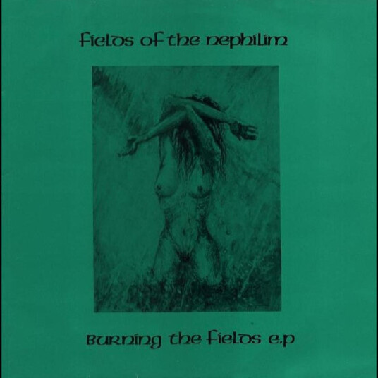 Burning The Fields Lp