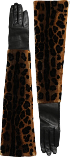 Dolce & Gabbana Dame Accessories Brun ONE SIZE,