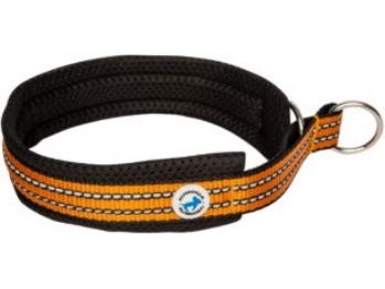 All For Dogs Halv Choke Halsbånd For Hunder Oransje Størrelse 40
