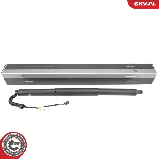 Elektromotor bakluke ESEN SKV 52SKV237