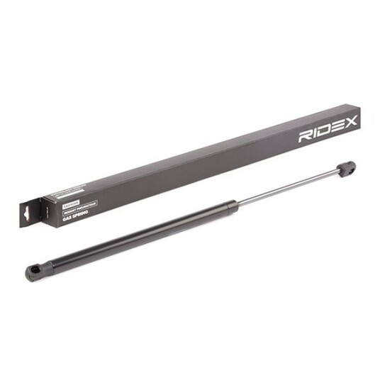 Baklukedemper RIDEX 219G0269