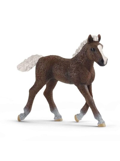 Schleich Svart Forest Foal