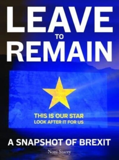 Leave To Remain Av Noni Stacey