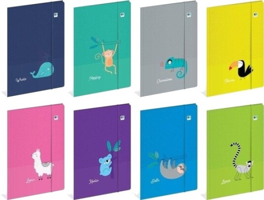 Folder With Elastic A4 + Bb Kids Tropic (10 Pcs) Folder With Elastic A4 + Bb Kids Tropic (10 Pcs)