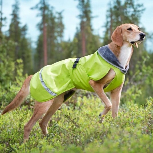 Pomppa Kevyt Regnjakke Hund Grøn (37 cm)