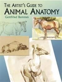 Bammes, Gottfried The Artist's Guide to Animal Anatomy (0486436403)