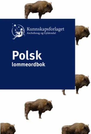 Polsk Lommeordbok Av Harald H. Soleng, ¿anetta Wawrzyniak Soleng