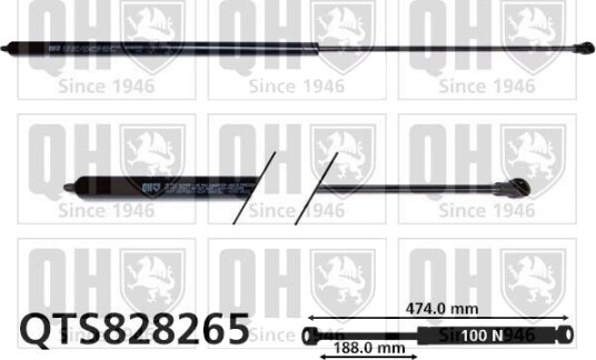 QUINTON HAZELL QTS828265 Baklukedemper