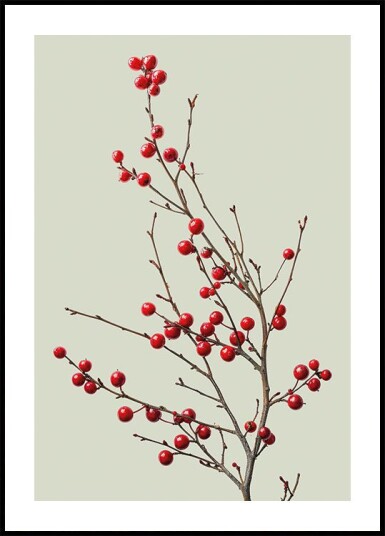 Red Berries on a Branch Plakat Plakat / 30x40cm