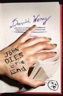 John Dies At The End Av David Wong