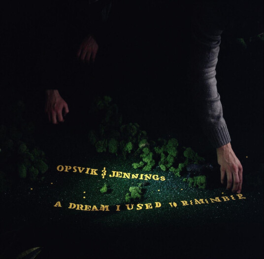 Eivind Opsvik Aaron Jennings A Dream I Used To Remember Vinyl 249312