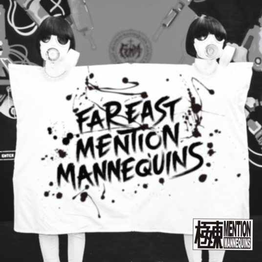 FEMM FEMMIsation CD