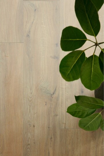Laminatgulv BerryAlloc Ocean 8 V4 Walnut Brown