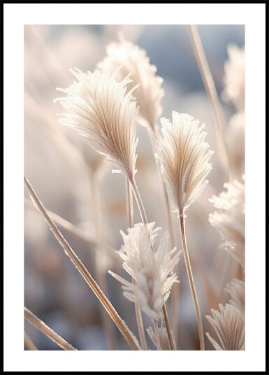 Frosted Elegance Poster Plakat / 40x50cm