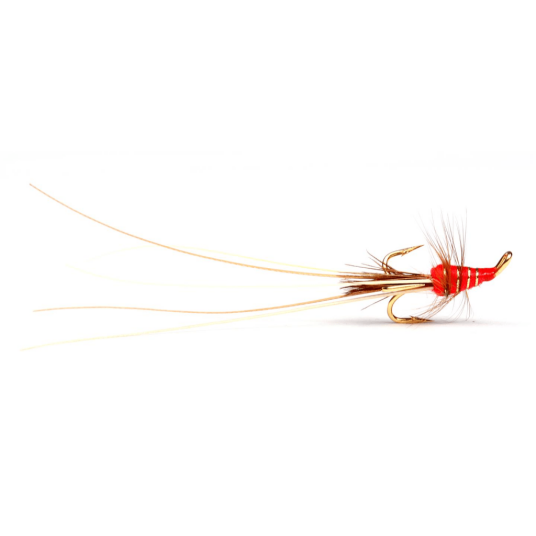 RED FRANCES GOLDEN TREBLE #8