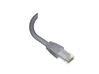 Brand-Rex C6CPCU020-888BB, 2 m, Cat6+, U/UTP (UTP), RJ-45, RJ-45 Brand-Rex C6CPCU020-888BB, 2 m, Cat6+, U/UTP (UTP), RJ-45, RJ-45