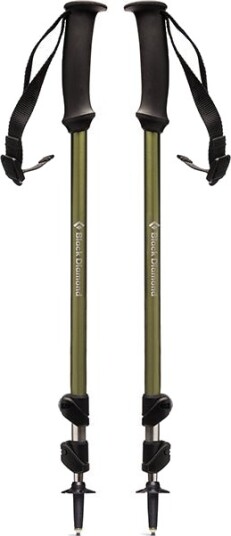 Trail Explorer 3 Vandrestaver - Grønn