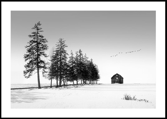 A Sunny Winter Day Plakat Plakat / 50x70cm A Sunny Winter Day Plakat Plakat / 50x70cm
