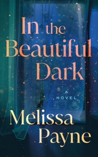 In the Beautiful Dark A Novel In the Beautiful Dark A Novel