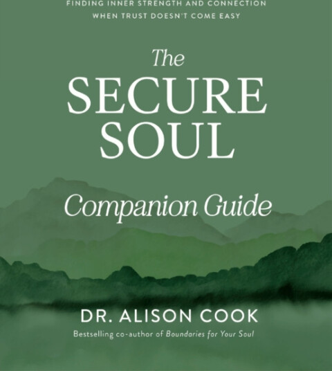 The Secure Soul Companion Guide Finding Inner Strength and Connection When Trust Doesn't Come Easy