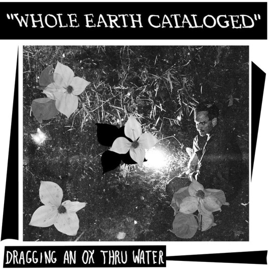 Whole Earth Catalogued Vinyl
