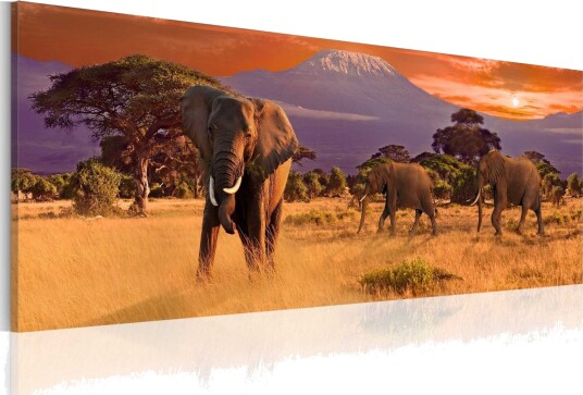 Bilde March Of African Elephants 135x45 Artgeist sp. z o. o.