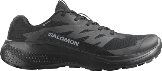 Salomon Alphaglide GTX Herre Black/Asphalt/Black 46