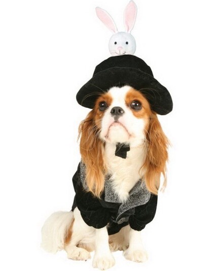 Hat Trick Hundekostyme Strl XS/18 23cm Hat Trick Hundekostyme Strl XS/18 23cm