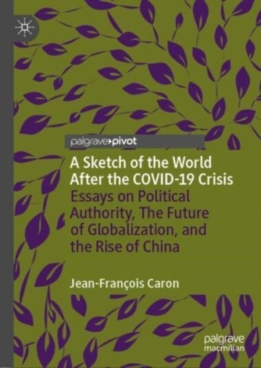 A Sketch of the World After the COVID 19 Crisis