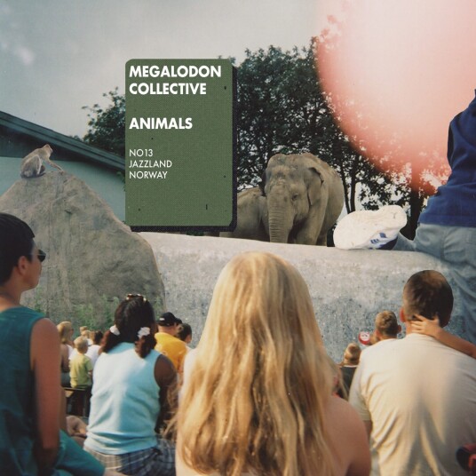 Megalodon Collective Animals LP/Vinyl Megalodon Collective Animals LP/Vinyl
