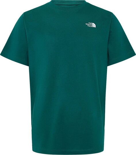 The North Face M Evolution Simple Dome Regular Short Sl Green XS