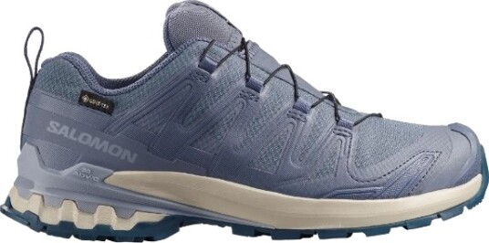 Salomon XA PRO 3D V9 GTX Dame Grisaille/Tradewinds 42 Salomon XA PRO 3D V9 GTX Dame Grisaille/Tradewinds 42