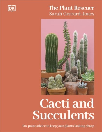 Cacti and Succulents  Onpoint Advice to Keep Your Plants Looking Sharp