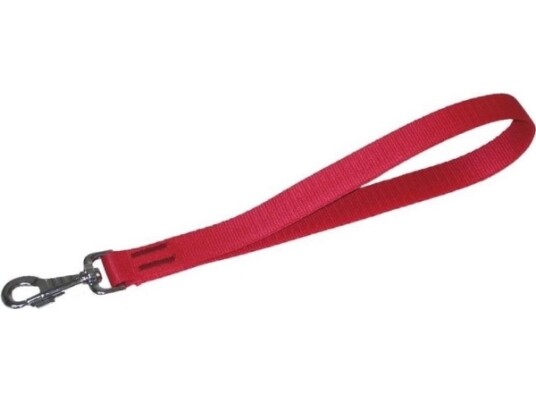 Dingo Håndtak Laget Av Polypropylentape 25/40 cm Rød 10610