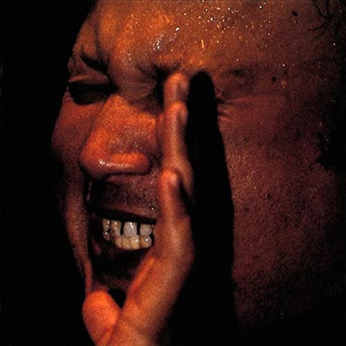 Nusrat Fateh Ali Khan Shahbaaz LP/Vinyl Nusrat Fateh Ali Khan Shahbaaz LP/Vinyl