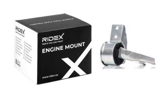 Motorfeste RIDEX 247E0681