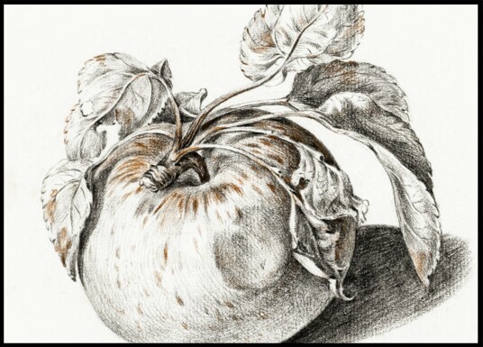Apple Plakat / 70x100