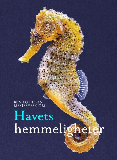 Havets hemmeligheter Havets hemmeligheter