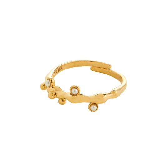 Pilgrim LULU magisk stack ring gullbelagt